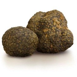 Summer Truffle